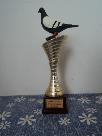 cena primátora mesta Lipany